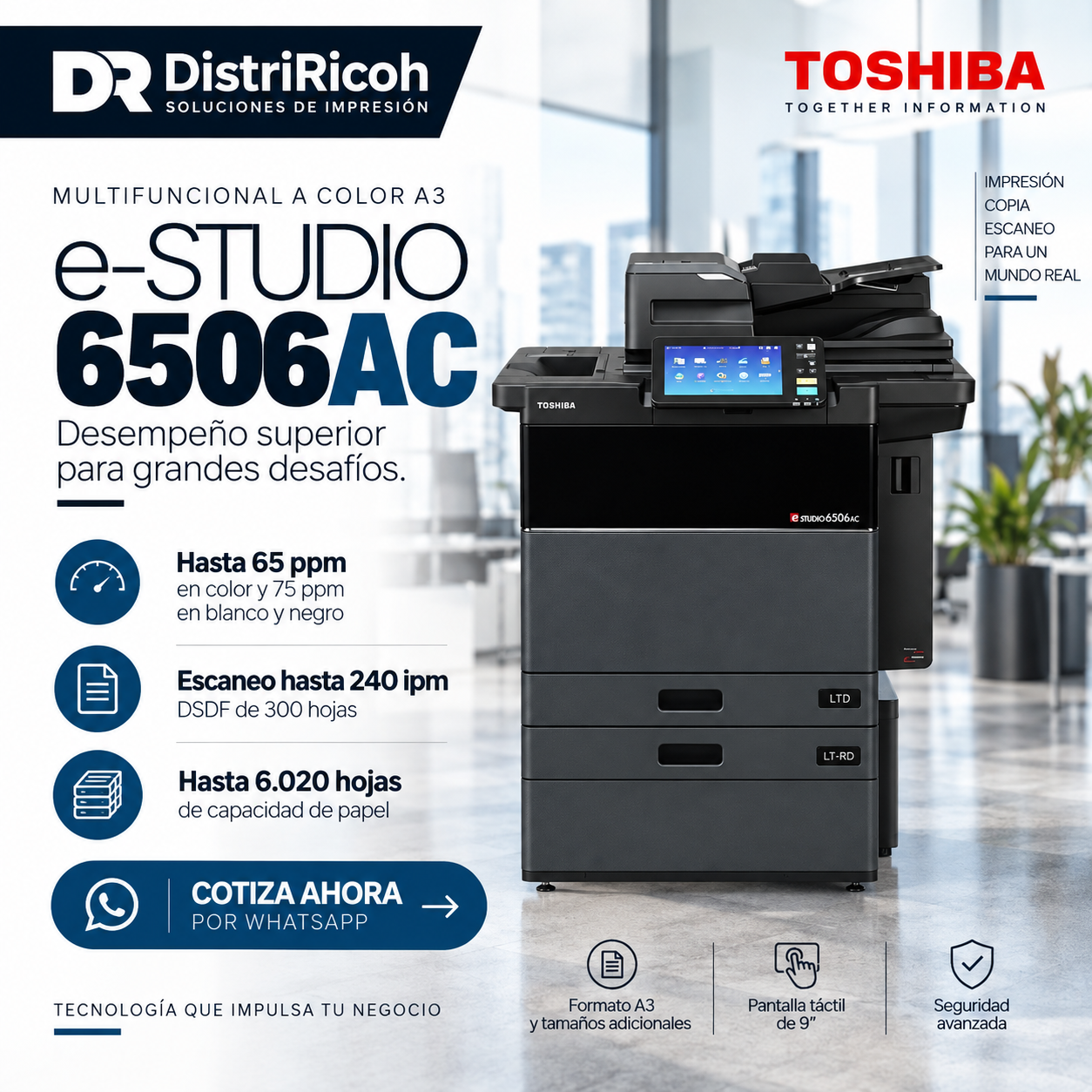 ChatGPT-Image-18-sept-2026-11_06_14.png