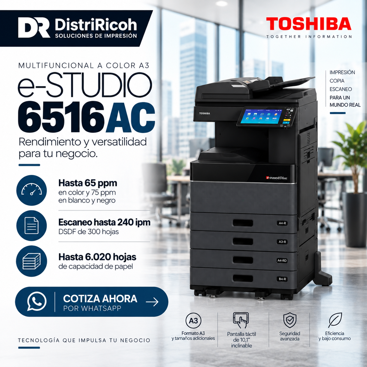 ChatGPT-Image-18-sept-2026-11_09_33.png