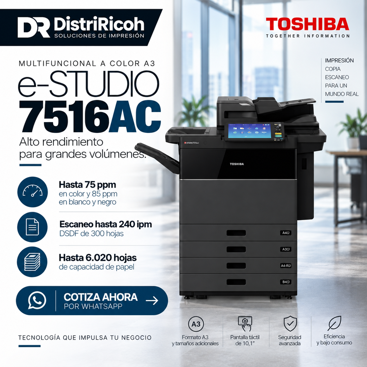 ChatGPT-Image-18-sept-2026-11_15_22.png